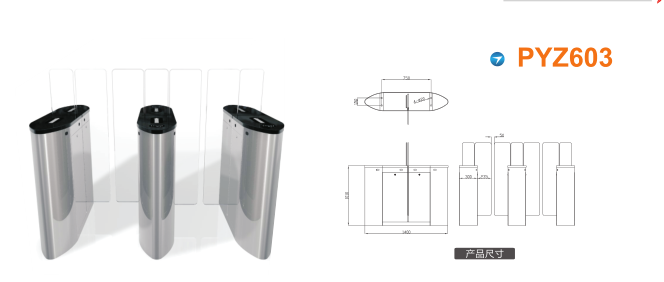 南京江北新区平移闸PYZ603